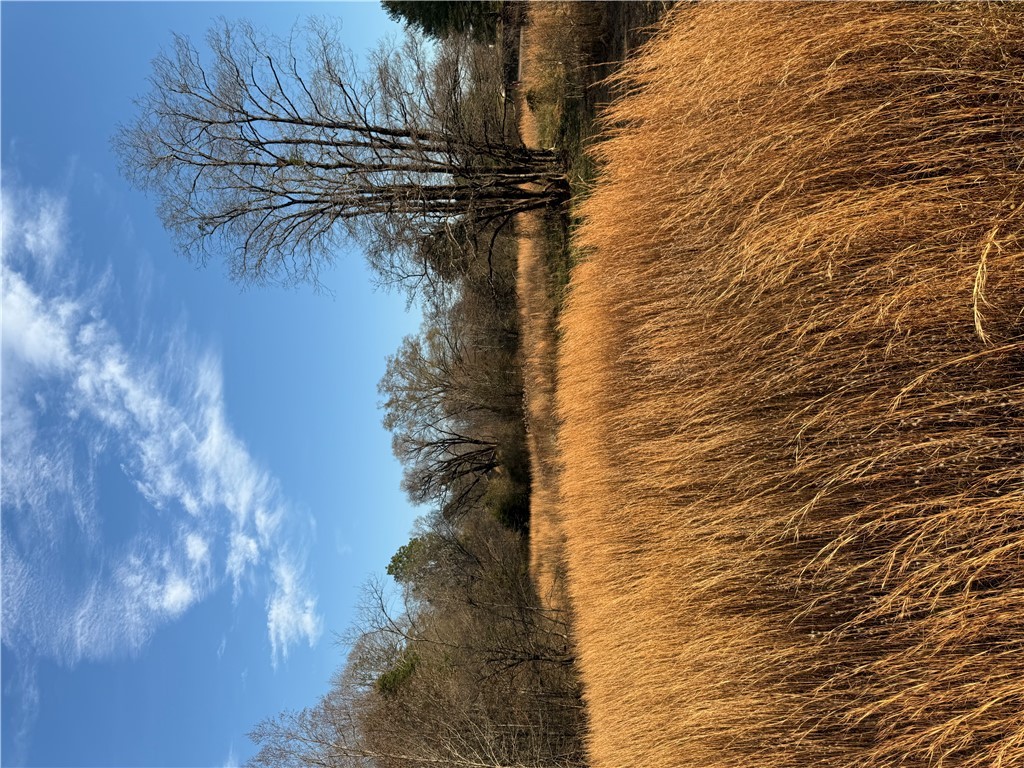 603 East Abbey Street Westminster, SC 29693 - Photo 16 of 21