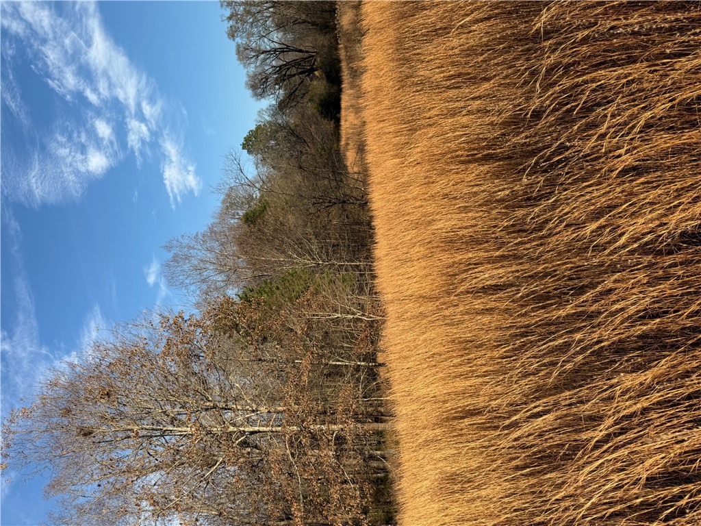 603 East Abbey Street Westminster, SC 29693 - Photo 17 of 21