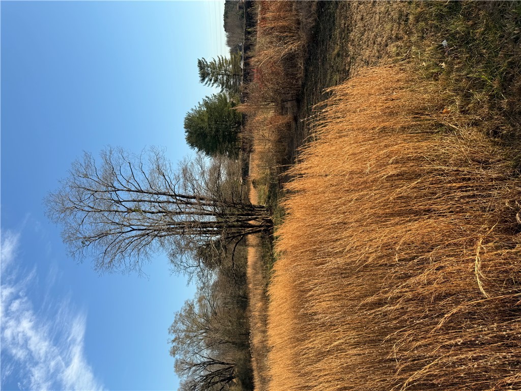 603 East Abbey Street Westminster, SC 29693 - Photo 18 of 21