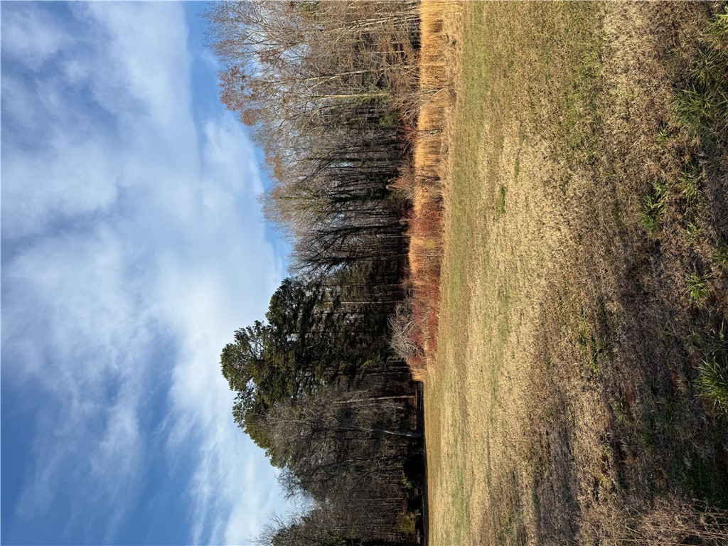 603 East Abbey Street Westminster, SC 29693 - Photo 4 of 21