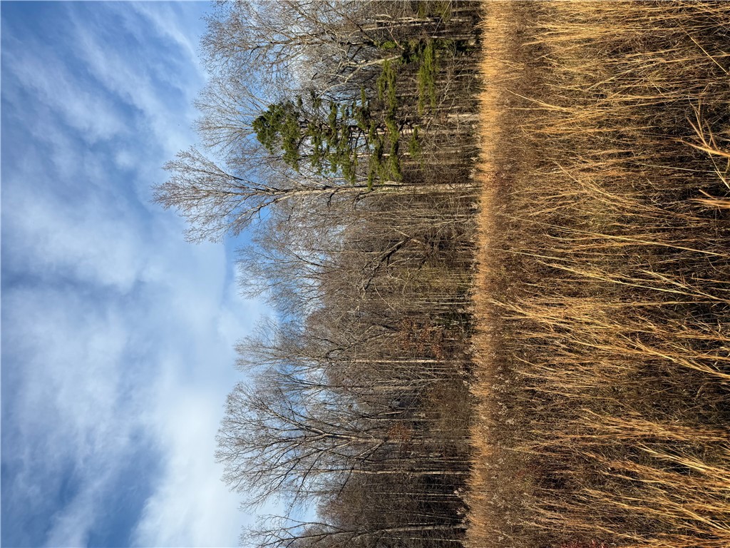 603 East Abbey Street Westminster, SC 29693 - Photo 7 of 21