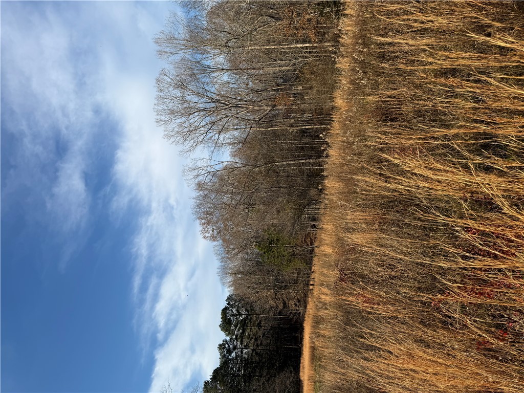 603 East Abbey Street Westminster, SC 29693 - Photo 8 of 21