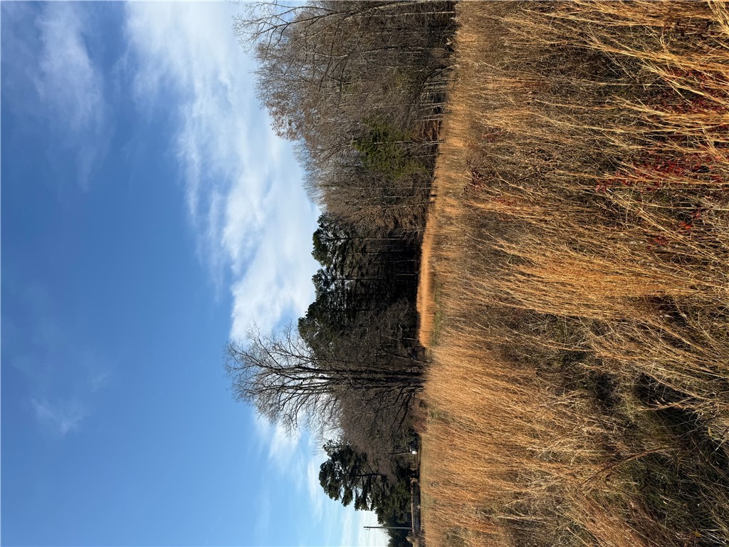 603 East Abbey Street Westminster, SC 29693 - Photo 9 of 21