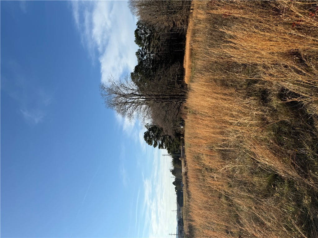 603 East Abbey Street Westminster, SC 29693 - Photo 10 of 21