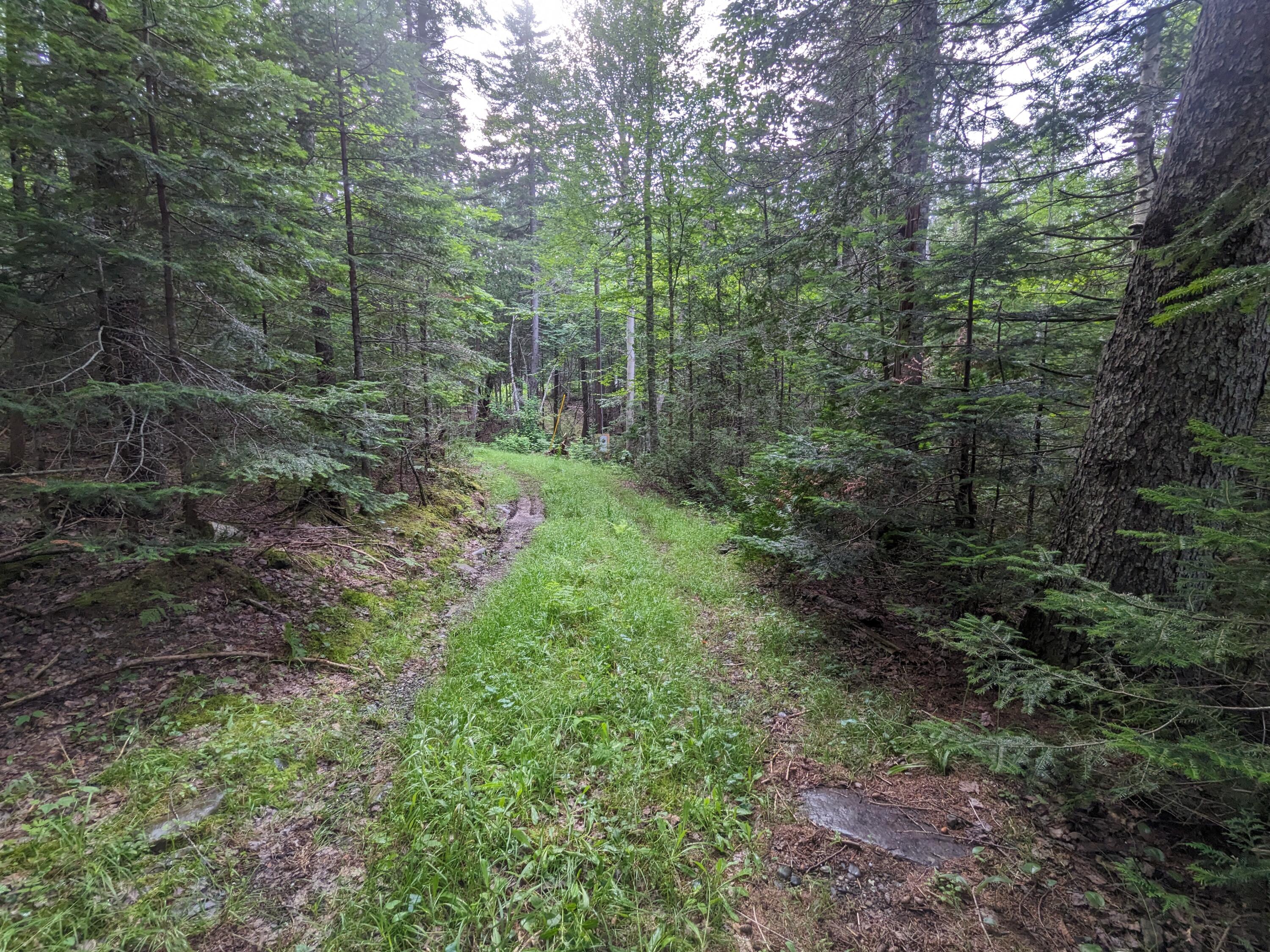 2 Greenville Road Shirley Mills, ME 04485 - Photo 11 of 40 PXL_20230715_212358508