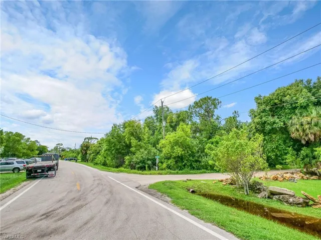a view of a yard with plants and trees