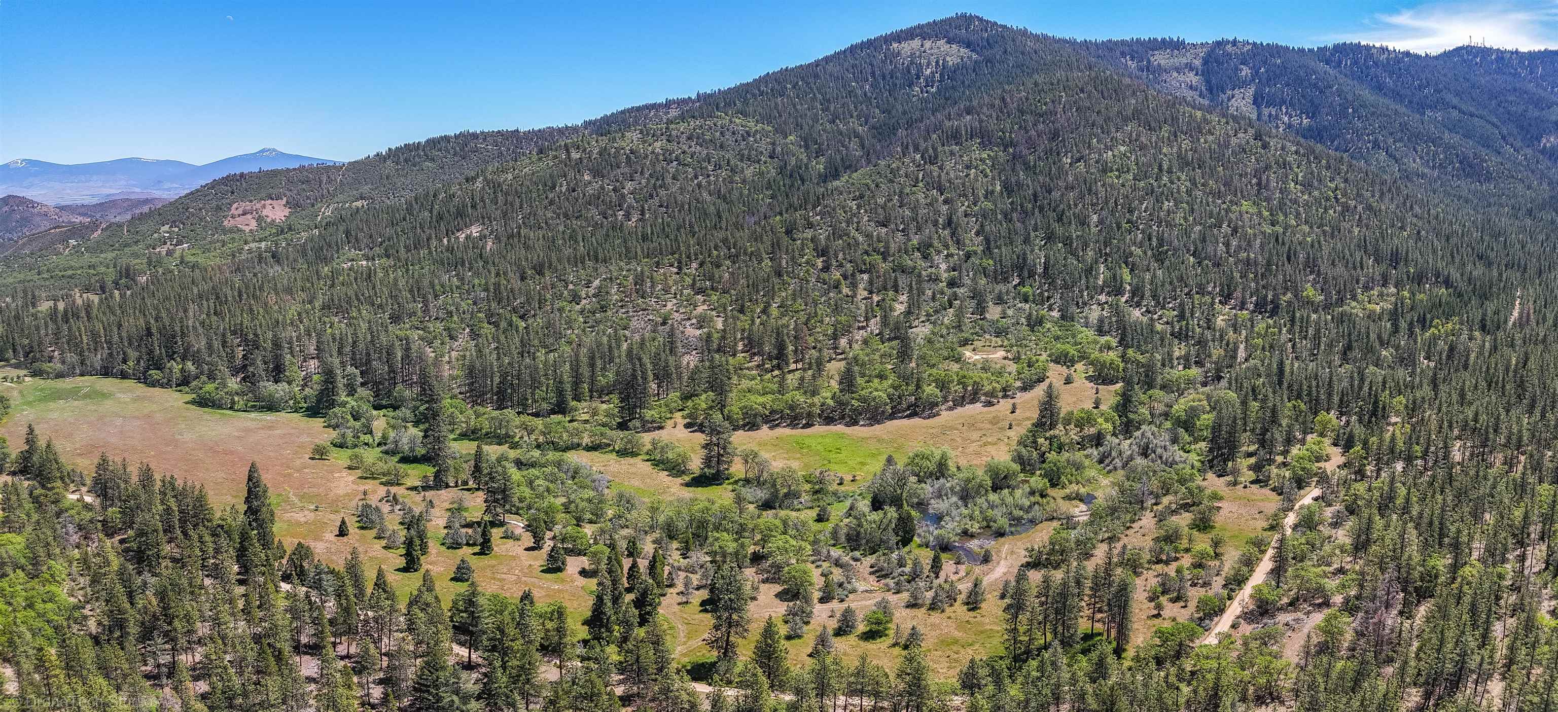 7226 Schulmeyer Gulch Road Yreka, CA 96097 - Photo 40 of 40 Gallery Image 40
