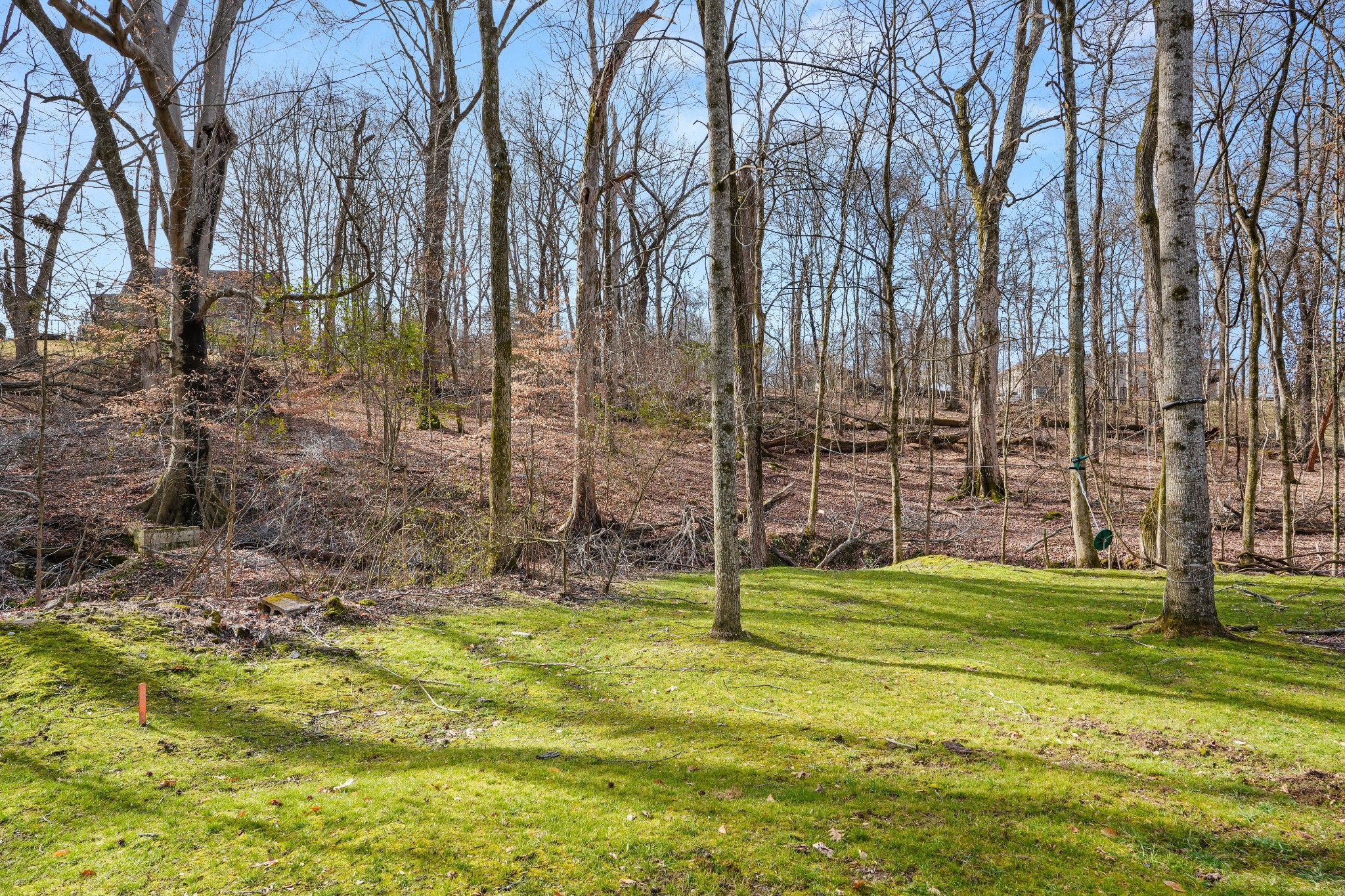 200 Burris Road Mount Juliet, TN 37122 - Photo 11 of 33 a view of a park with large trees