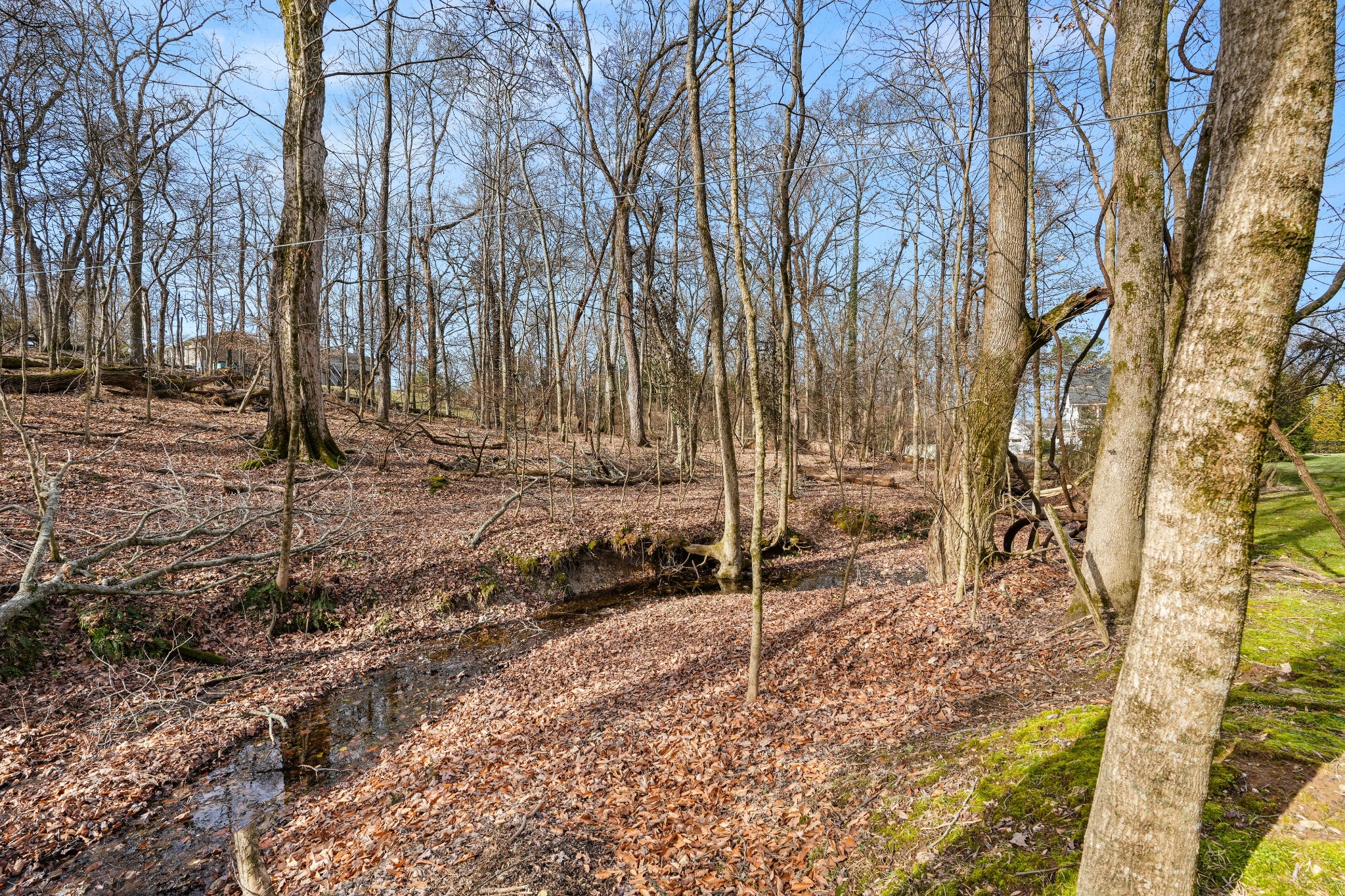 200 Burris Road Mount Juliet, TN 37122 - Photo 12 of 33 a backyard of a house with lots of green space