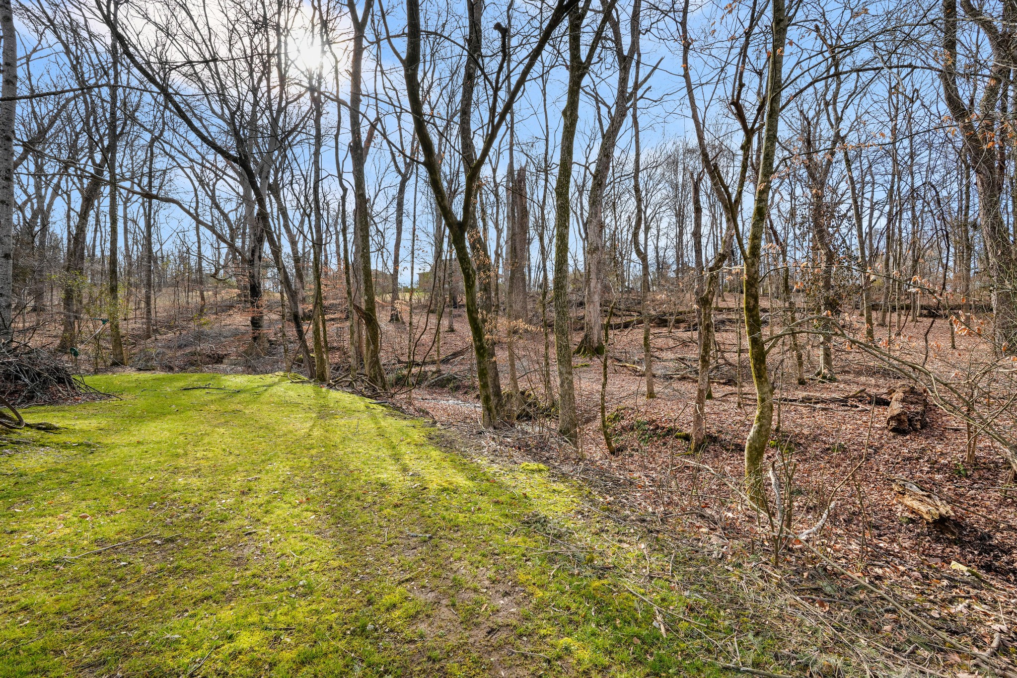 200 Burris Road Mount Juliet, TN 37122 - Photo 13 of 33 a view of yard with large trees