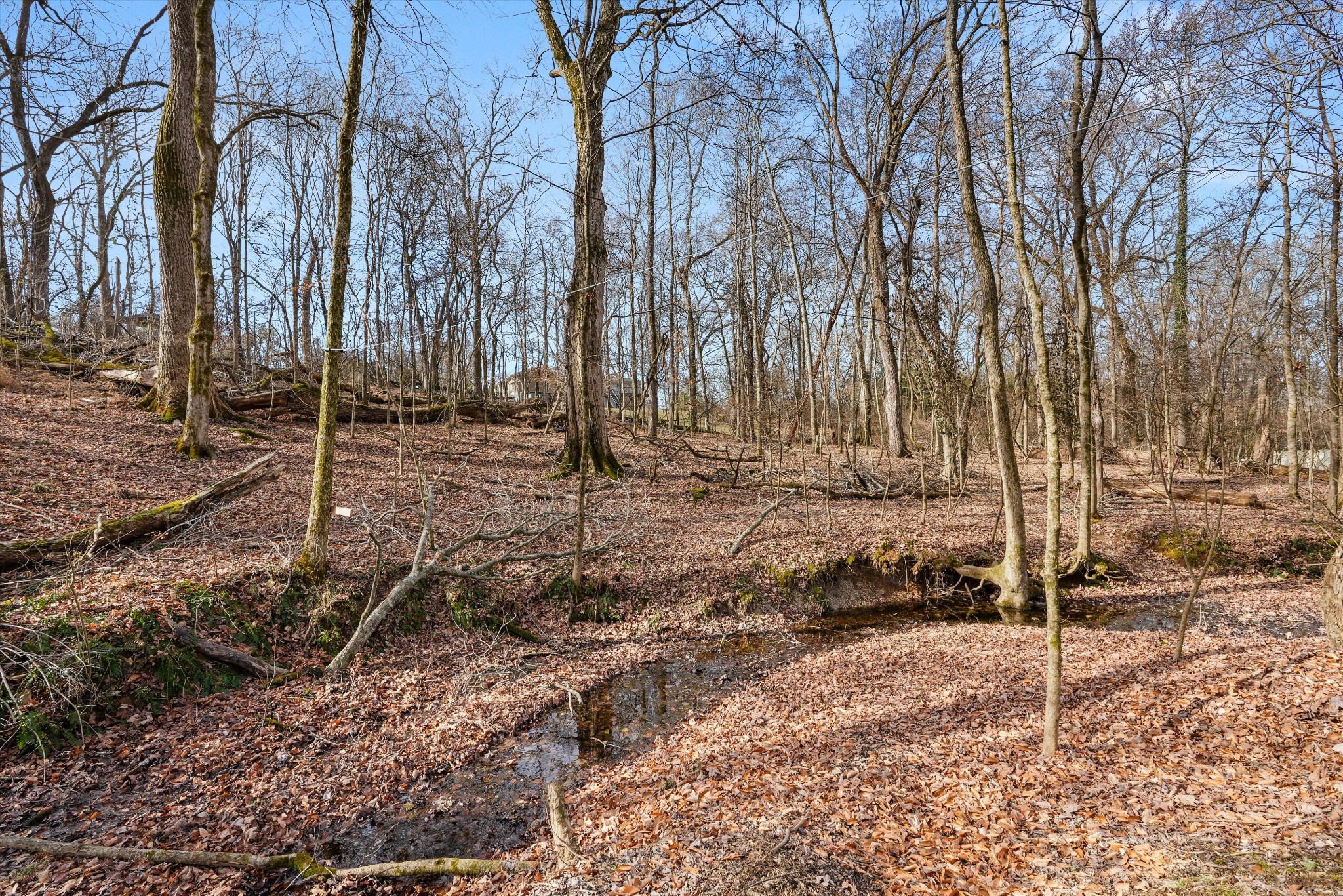 200 Burris Road Mount Juliet, TN 37122 - Photo 14 of 33 a backyard of a house with lots of green space