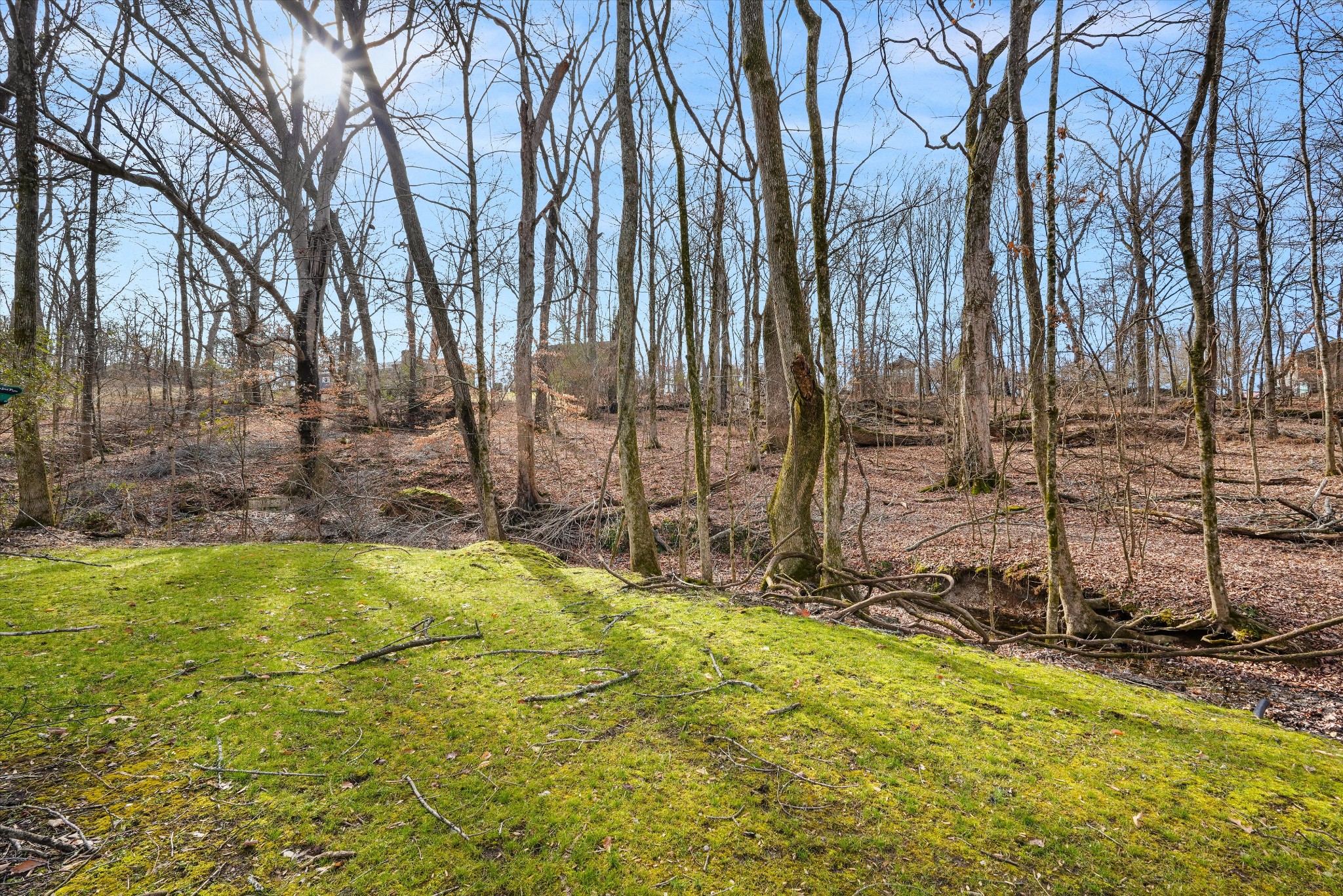 200 Burris Road Mount Juliet, TN 37122 - Photo 15 of 33 a view of swimming pool with outdoor seating