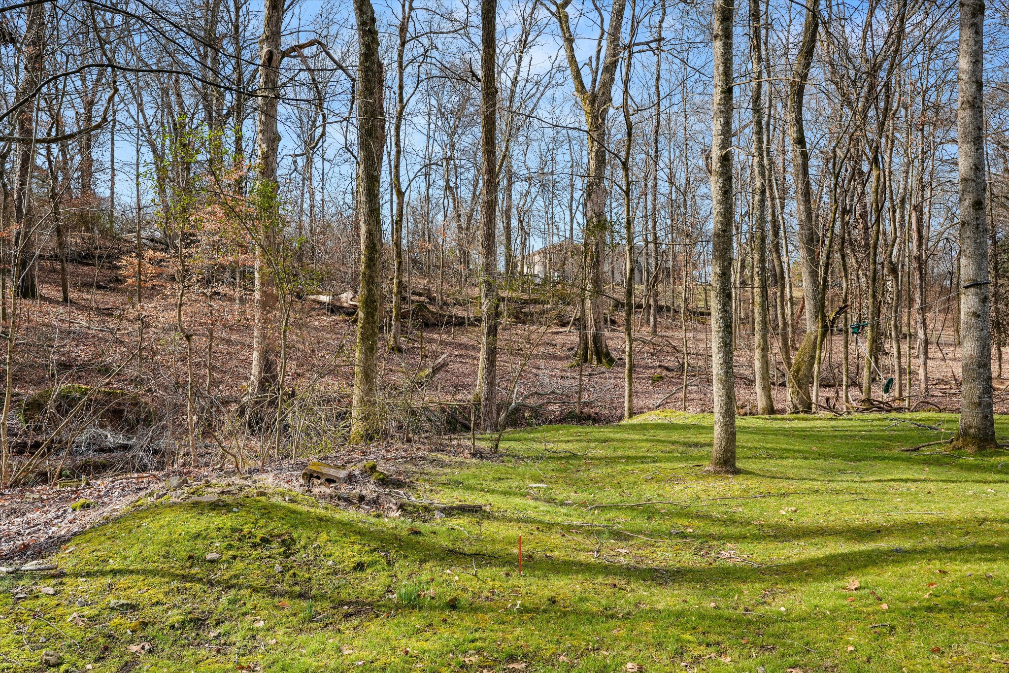 200 Burris Road Mount Juliet, TN 37122 - Photo 16 of 33 a view of a walk in the garden