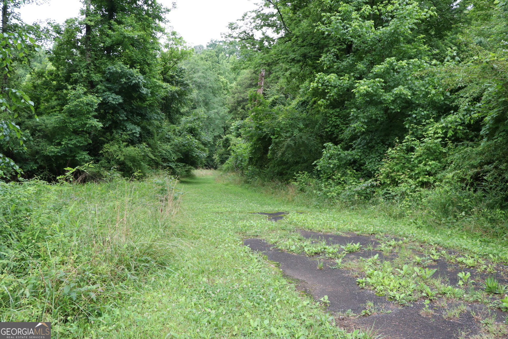 833 Neal Gap Road Summerville, GA 30747 - Photo 15 of 86
