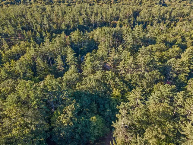 $39,500 | 0 Gilford Avenue, Rumney, NH 03266