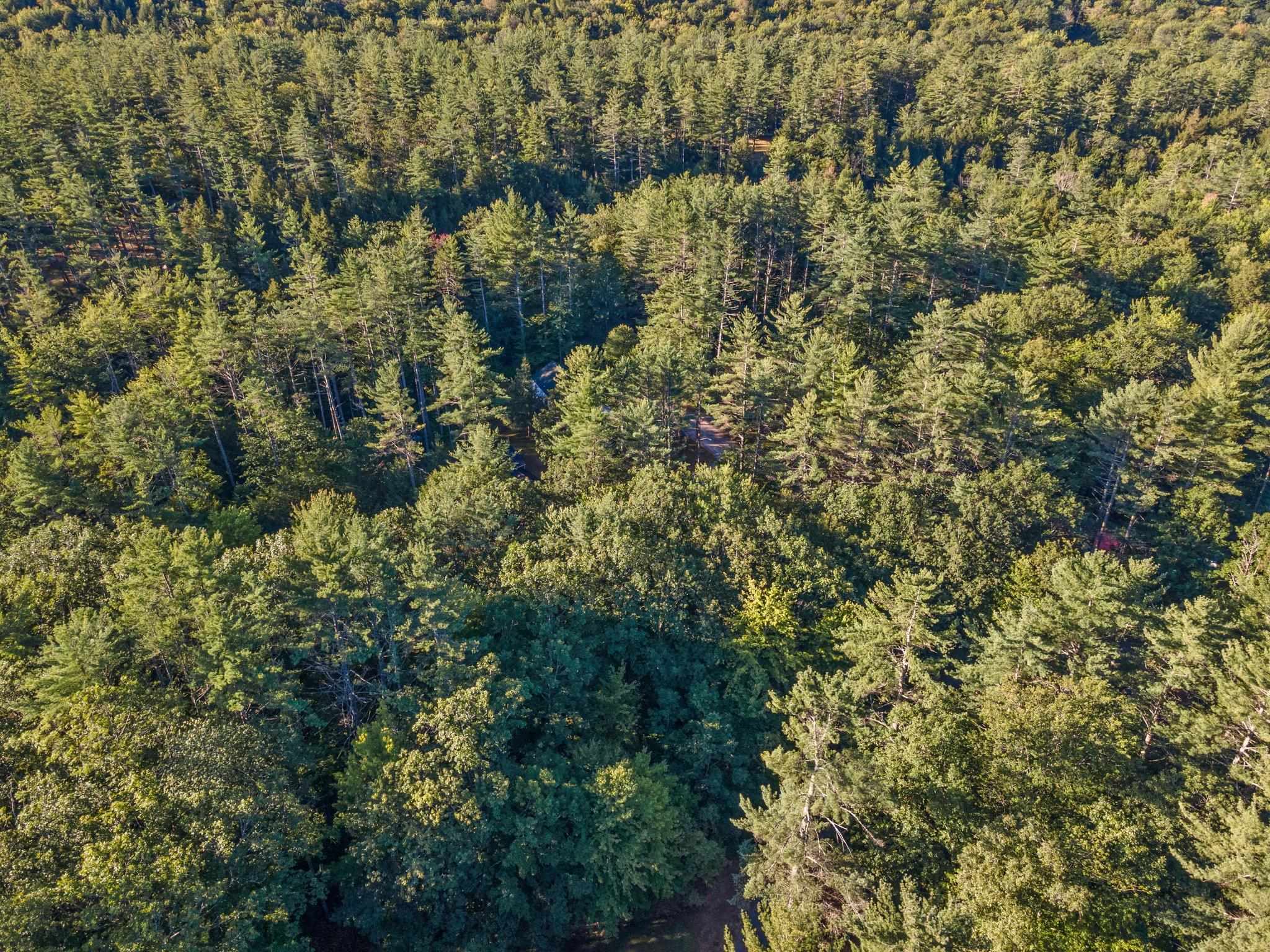 0 Gilford Avenue Rumney, NH 03266 - Photo 5 of 20