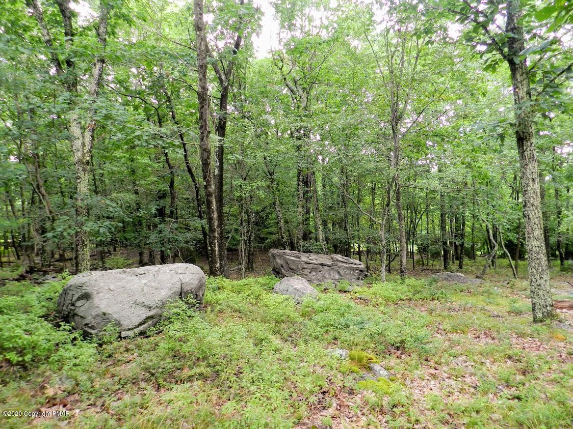 3380 Spruce Cabin Road Cresco, PA 18326 - Photo 29 of 31 S4