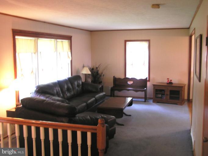 3285 Castleman Road Berryville, VA 22611 - Photo 5 of 15 Living Room