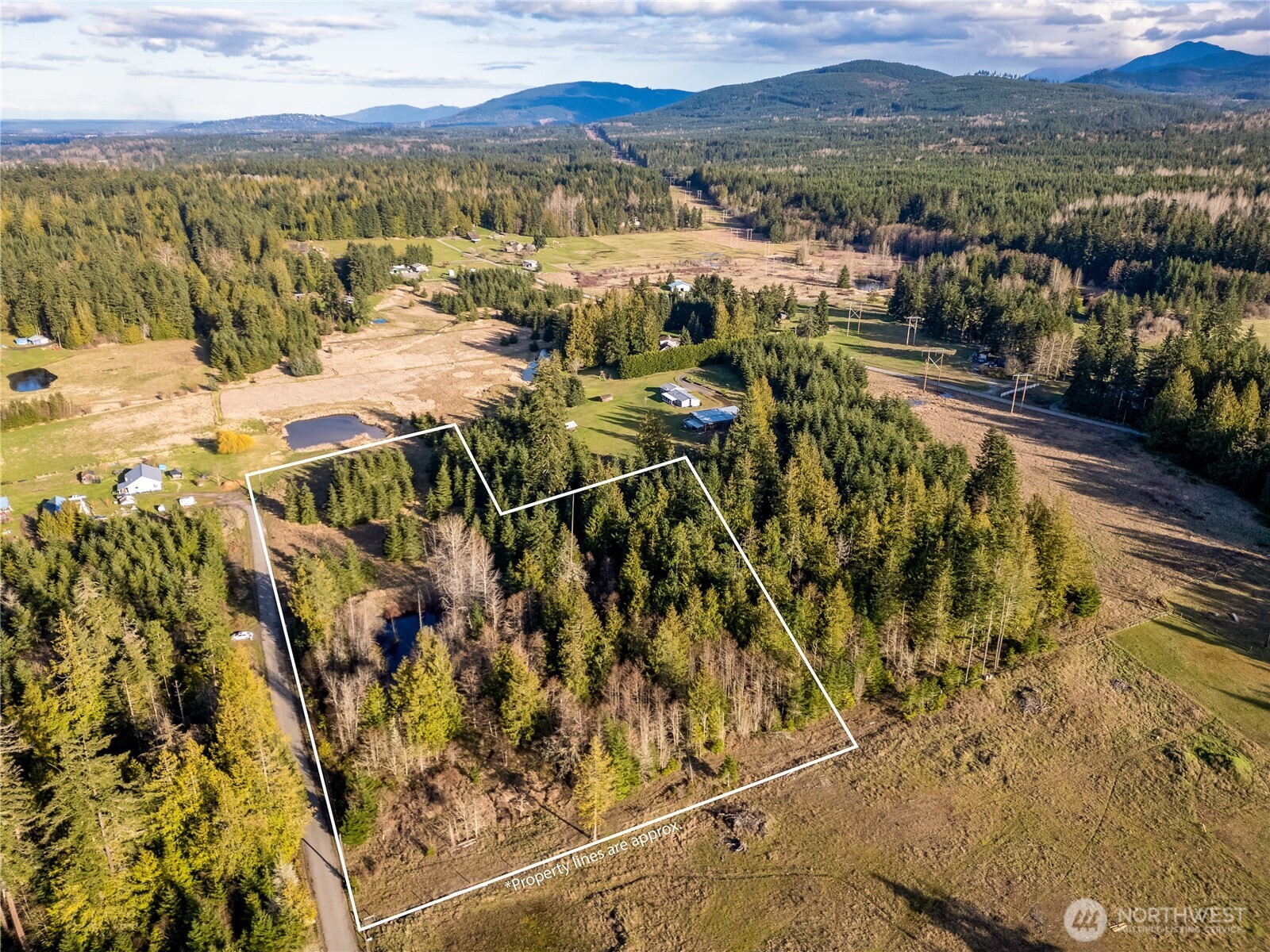 0 Lilly Rd Port Port Angeles, WA 98362 - Photo 10 of 11 Gallery Image 10