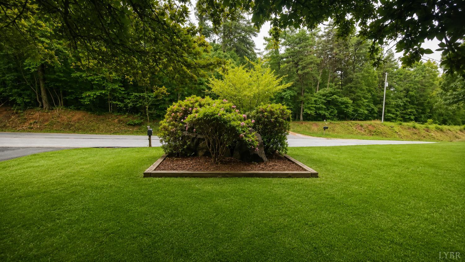 2346 Mitchell Mill Road Gladys, VA 24554 - Photo 31 of 38 a view of a yard