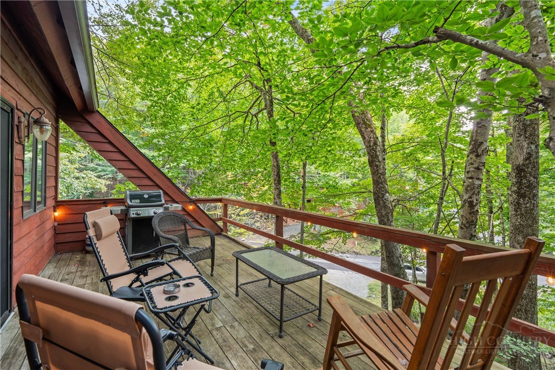 203 Shagbark Road Beech Mountain, NC 28604 - Photo 12 of 19