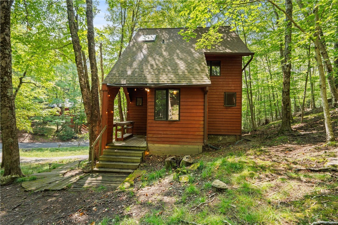 203 Shagbark Road Beech Mountain, NC 28604 - Photo 14 of 19