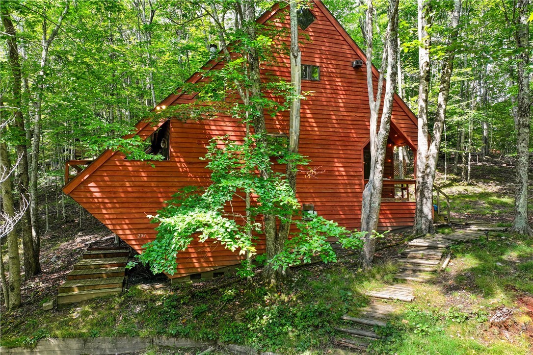 203 Shagbark Road Beech Mountain, NC 28604 - Photo 16 of 19