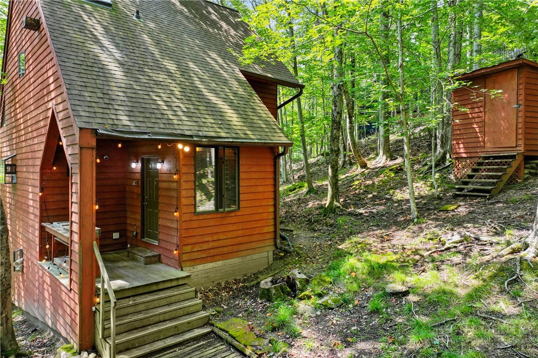 203 Shagbark Road Beech Mountain, NC 28604 - Photo 17 of 19