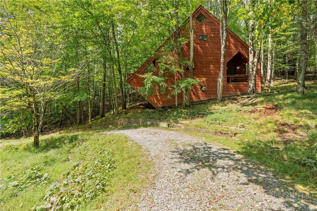203 Shagbark Road Beech Mountain, NC 28604 - Photo 2 of 19