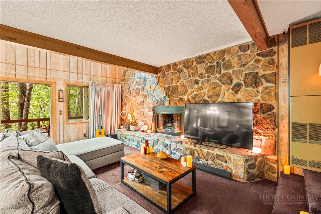 203 Shagbark Road Beech Mountain, NC 28604 - Photo 3 of 19