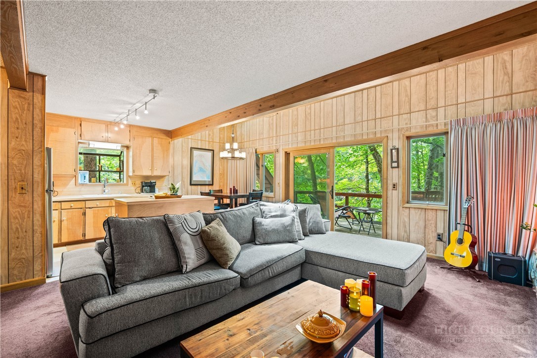 203 Shagbark Road Beech Mountain, NC 28604 - Photo 5 of 19