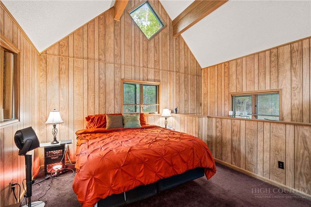 203 Shagbark Road Beech Mountain, NC 28604 - Photo 9 of 19
