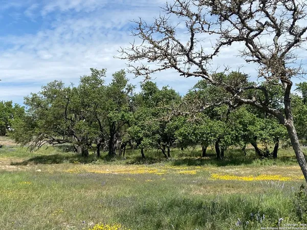 $250,000 | Tbd Taurus Ln Taurus, Junction, TX 76849