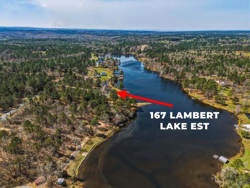 167 Lambert Lake Estates Box Springs, GA 31801 - Photo 11 of 70