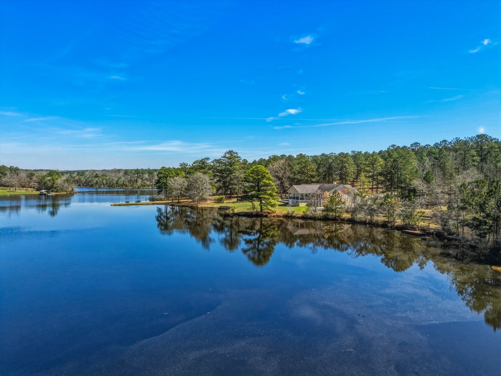 167 Lambert Lake Estates Box Springs, GA 31801 - Photo 15 of 70