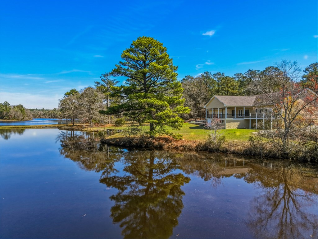 167 Lambert Lake Estates Box Springs, GA 31801 - Photo 16 of 70