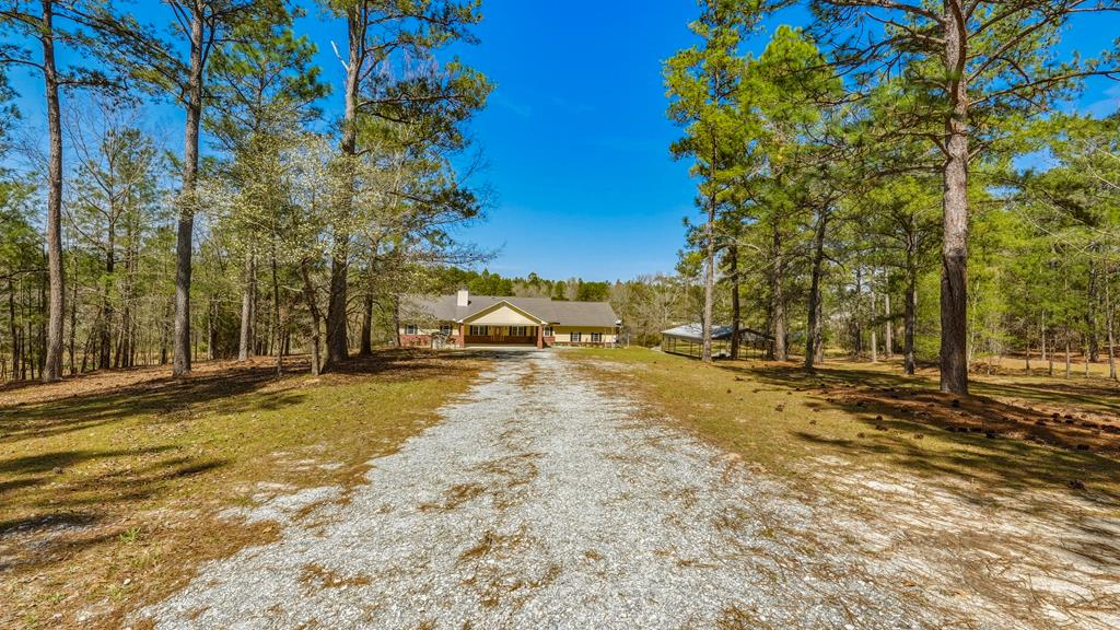 167 Lambert Lake Estates Box Springs, GA 31801 - Photo 20 of 70 gravel drive leading to the house