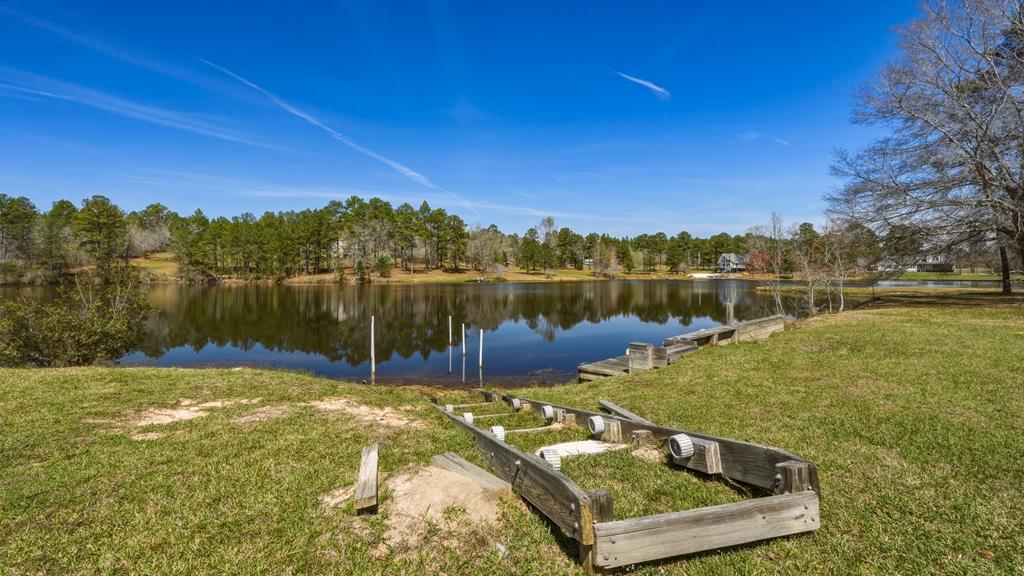 167 Lambert Lake Estates Box Springs, GA 31801 - Photo 57 of 70