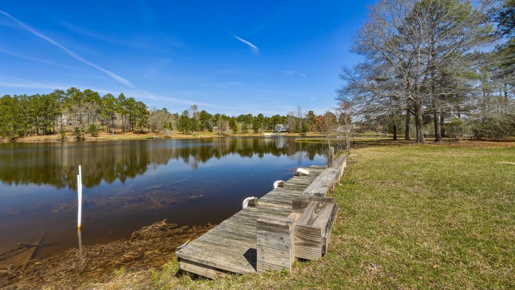 167 Lambert Lake Estates Box Springs, GA 31801 - Photo 58 of 70 dock area