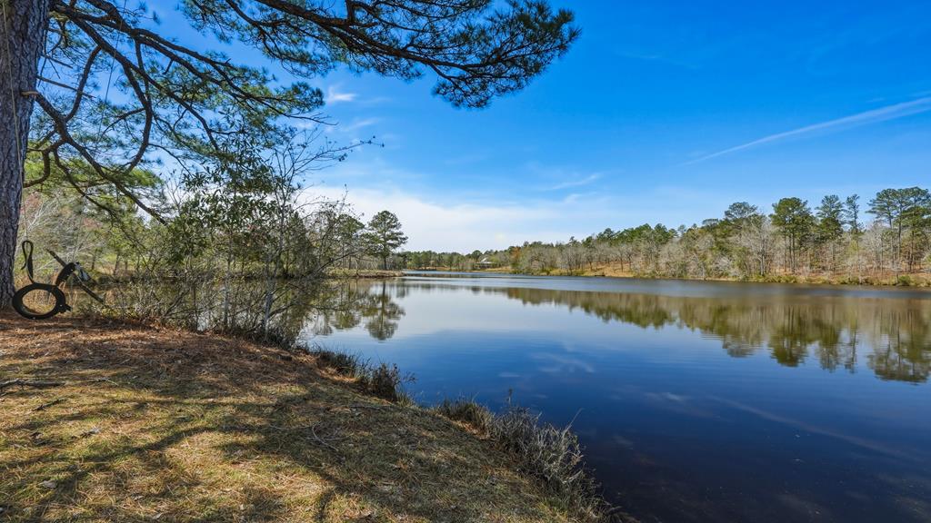 167 Lambert Lake Estates Box Springs, GA 31801 - Photo 59 of 70 longrange lakeviews for amazing sunset