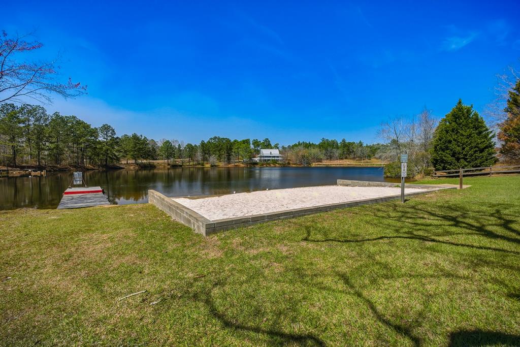 167 Lambert Lake Estates Box Springs, GA 31801 - Photo 64 of 70 HOA beach area and fishing dock