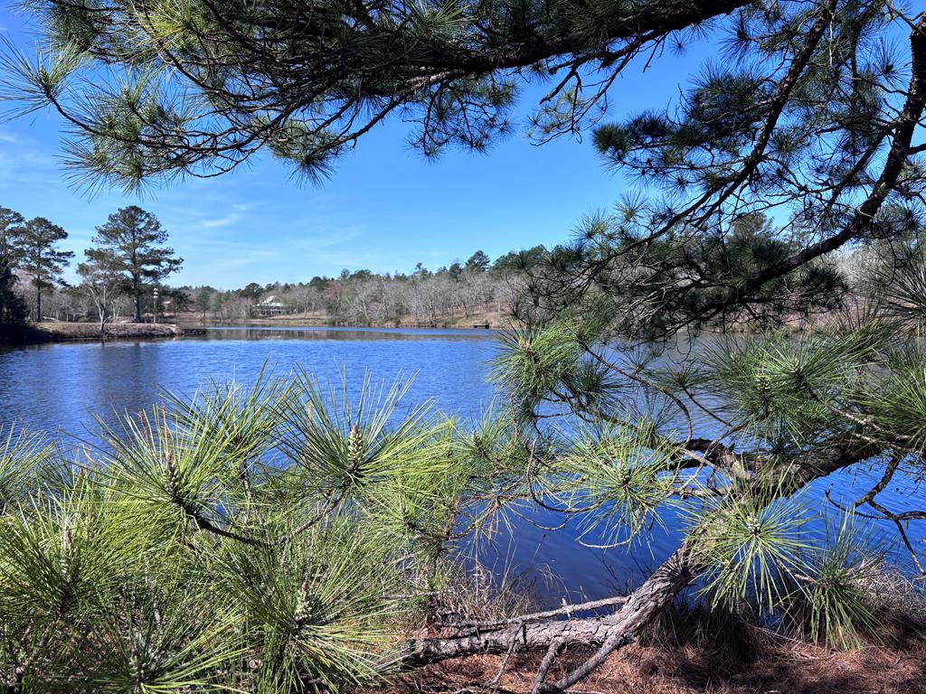 167 Lambert Lake Estates Box Springs, GA 31801 - Photo 69 of 70