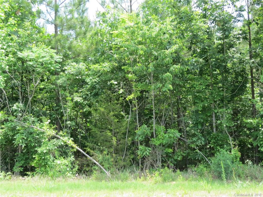 Lot E-3 Ranger Road Clover, SC 29710 - Photo 4 of 15