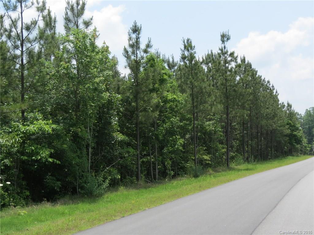 Lot E-3 Ranger Road Clover, SC 29710 - Photo 7 of 15