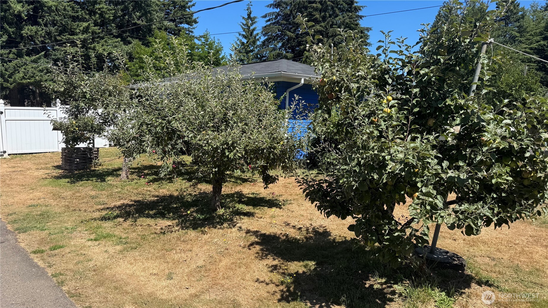 1245 West Axton Road Ferndale, WA 98248 - Photo 22 of 30 a view of a tree with a yard