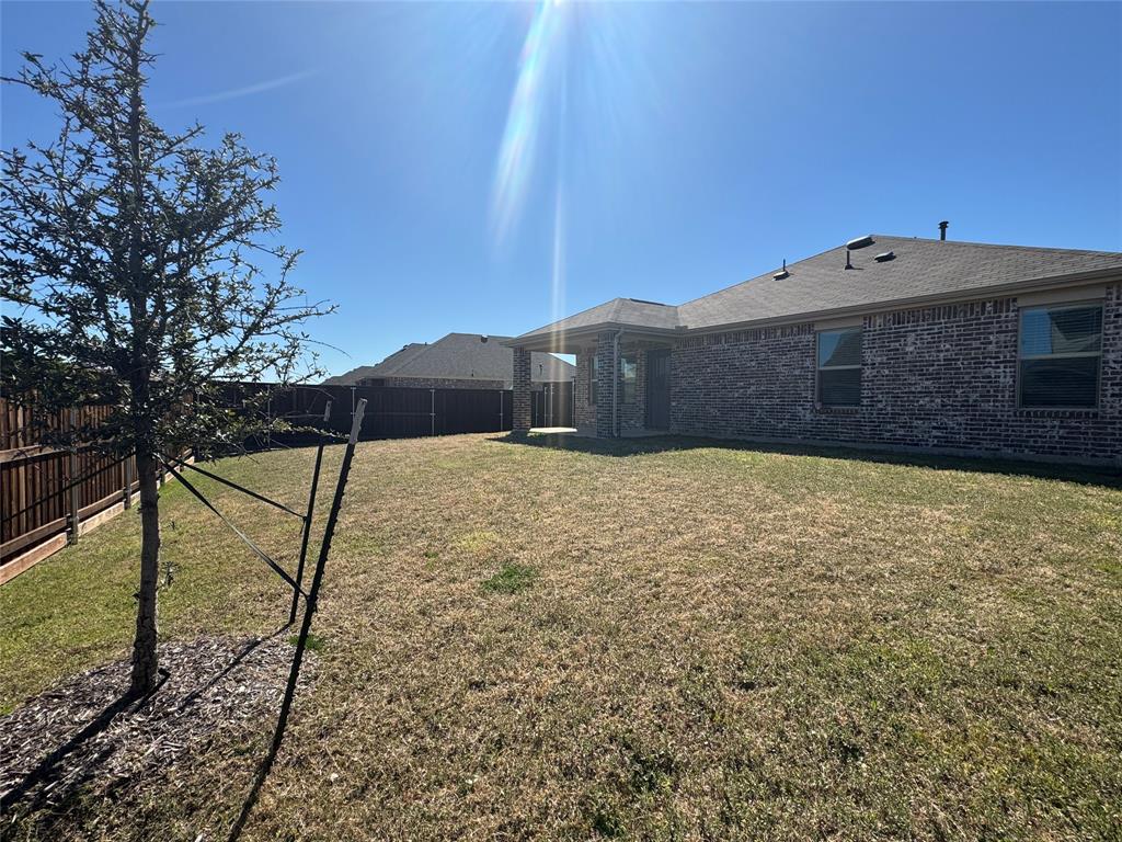 4700 Essonite Road Little Elm, TX 76227 - Photo 31 of 34 Backyard