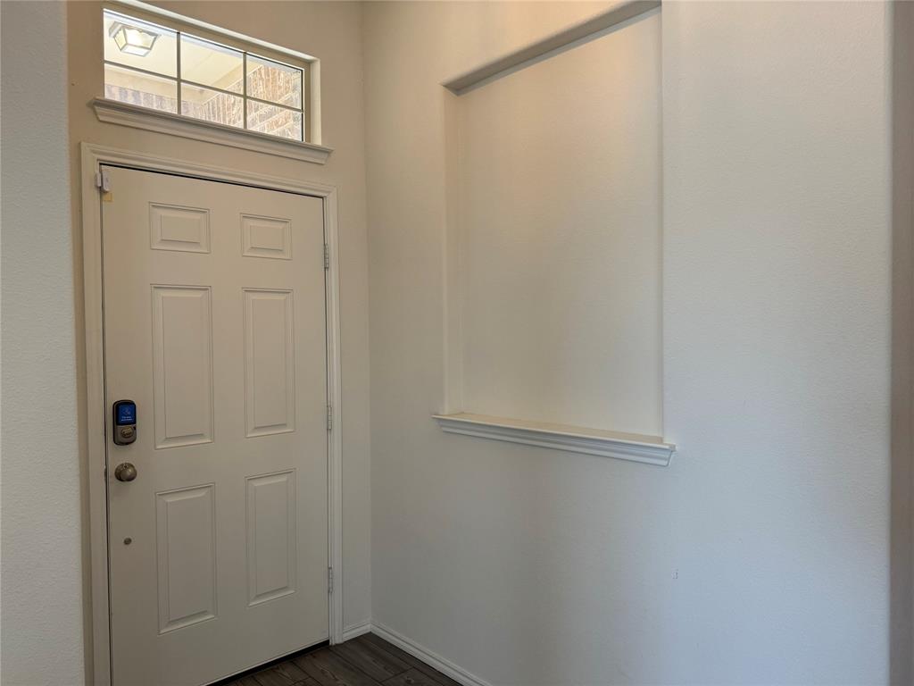 4700 Essonite Road Little Elm, TX 76227 - Photo 4 of 34 Front door and art niche