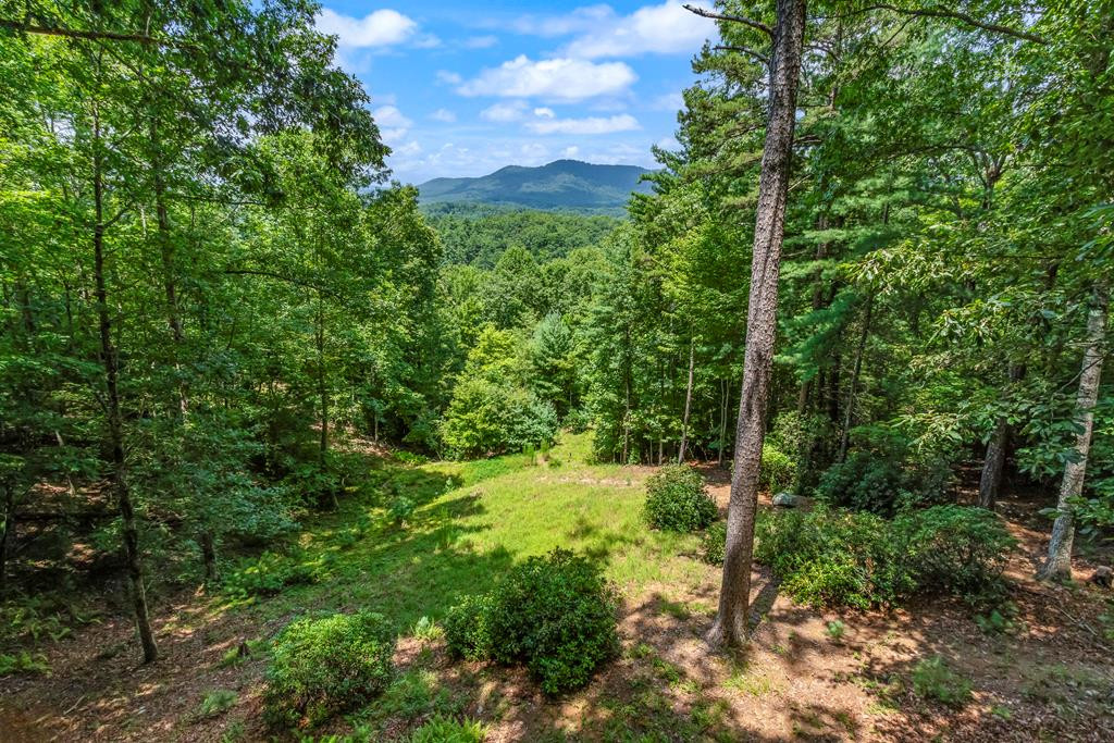 513 Persimmon Hts Road Murphy, NC 28906 - Photo 60 of 61