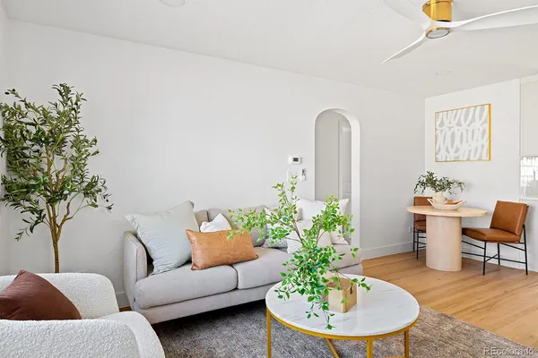 a living room with furniture and a potted plant