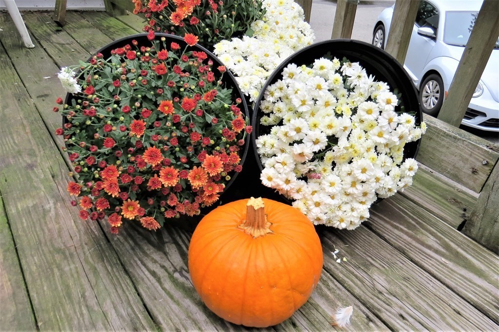 114 North Main Street Salem, NH 03079 - Photo 4 of 26